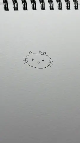 これからも“かわいい”リクエストよろしくお願いします！！※キティちゃん大好きです。