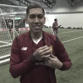 #firmino #liverpool #ynwa 