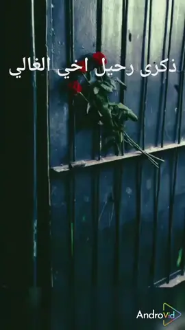 في ذكرى وفاة اخي الغالي و نور عيوني 