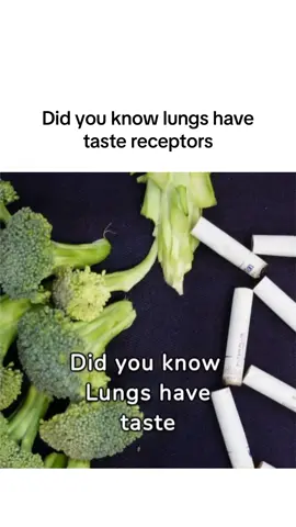 Did you know #facts #foryoupage #LearnOnTikTok #interestingfacts #viralvideo #facts #fyp #viral #foryou #randomfacts 