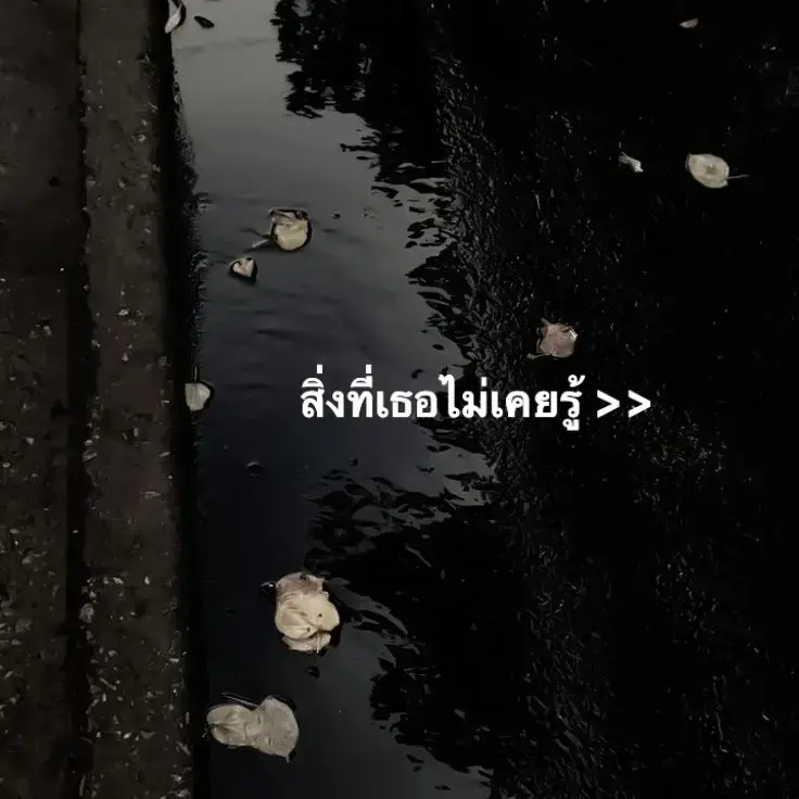 🥺 #เธรดเศร้า #เธรดความรู้สึก #ขึ้นฟีดเถอะ 