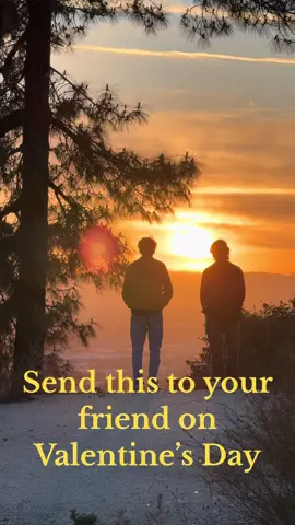 Tell them. Tag a friend! #friendship #wholesome #hopecore #wesanderson #ValentinesDay