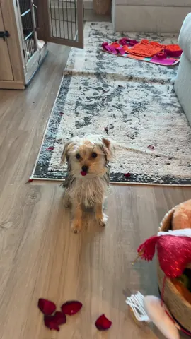 🥹❤️ she’s the sweetest