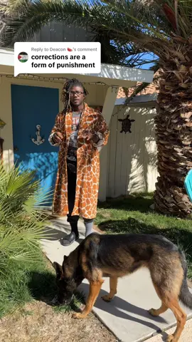 Replying to @Deacon 🍉 No One Knows What My Dog Needs, Better Than I. #DogTraining 