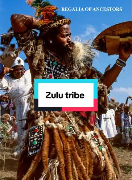 The Zulu, also known as Amazulu, constitute a significant Bantu ethnic group in Southern Africa, predominantly residing in South Africa’s KwaZulu-Natal province, totaling an estimated 10–12 million individuals. Originating from Nguni communities participating in the Bantu migrations, the consolidation of clans under Shaka’s leadership propelled the Zulu nation to prominence through his strategic military initiatives. Integral to Zulu culture are ceremonial practices like the Umhlanga, or Reed Dance, and the intricate art of beadwork, which not only serves as a means of identification but also facilitates communication within the community. Within Zulu society, men and women fulfill distinct roles, contributing to the cohesive functioning of the community. While Christianity holds sway among many Zulu today, there persists a syncretic blend of indigenous belief systems with Christian elements, reflecting the dynamic nature of Zulu spirituality.#africantiktok #africanfyp #africa #zulutiktok #zulutiktoker #southafricatiktok #southafricatiktok🇿🇦 #southafricantiktok🇿🇦 #southafrican #fypシ゚viral #fypage 