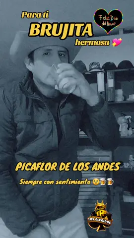 #felizdia #felizdiadelamor #sanvalentin #parati #bruja #picaflordelosandes #musica #musicadelcentrodemiperu #AmigosVip☆LosElegidos☆ #fyp 
