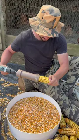 Ele fez um dispositivo para debulhar milho de forma automática 😲