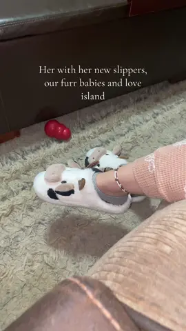 She loves these ! #baby #cute #fiance #ValentinesDay #dogs #dogsoftiktok #doggy #pets #pet #slippers 