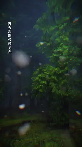 不执着于过去，昂首挺胸，面向未来 