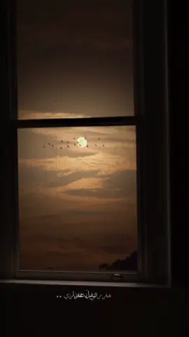 اسمعولي هالطرب كاظمنا تعبنا بأبداعه 🥺🥺🥺🫂 #new #explore #عيد_الحب #2024 #كاظم_الساهر #البوم #لايك #جديد #كلام_من_ذهب #CapCut #like #البوم_كاظم_الجديد #مررت_بصدري #السعودية #العراق #العرب 