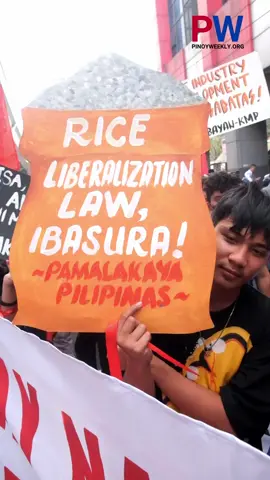 Nagprotesta sa Maynila ang iba’t ibang grupo sa ikalimang taon ng Rice Liberalization Law nitong Peb. 14. Sabi ng grupo ng magsasaka na Kilusang Magbubukid ng Pilipinas, mahal ang presyo ng bigas sa mga palengke pero binabarat ang mga magsasaka. Pinuna rin ng mga grupo ang importasyon ng bigas imbis na palaguin ang lokal na produksiyon at suportahan ang mga magsasaka. #fyp #riceinflation #riceimportation #riceliberalizationlaw
