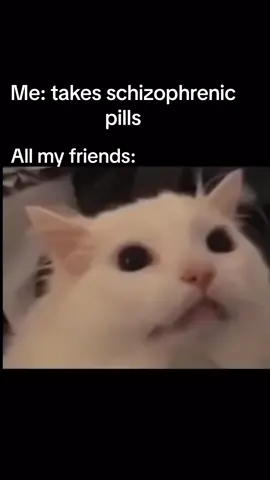 where my friends go #fy #fyp #foryou #foryoupage #funny #viral #tiktok #meme 