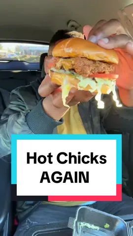 It Was WORSE this TIME‼️🤬 (Don’t EVER come for me AGAIN‼️🤬) @hotchicksfoodtruck #ncfoodie #detroitfoodie #dearbornmichigan #dearbornmi #dearbornfood  #michiganfood #michiganeats #michiganrestaurants 
