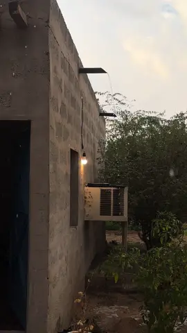 #قران #ماهر #ماهرالمعيقلي #الجو #المزرعة #