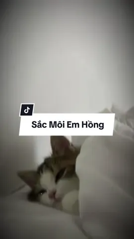 #CapCut lưu về cài làm nhạc báo thức thôi mn ⏰ #xuhuong #trend #maucapcut 