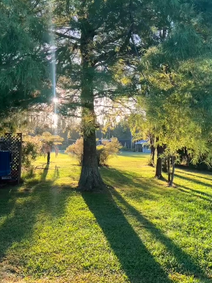 Auckland Outdoor Naturist Club, New Zealand: 30 Seconds Resort Tour #naturism #naturistresort #nudistresort #aonc #auckland #aucklandnewzealand #tiktoktravel