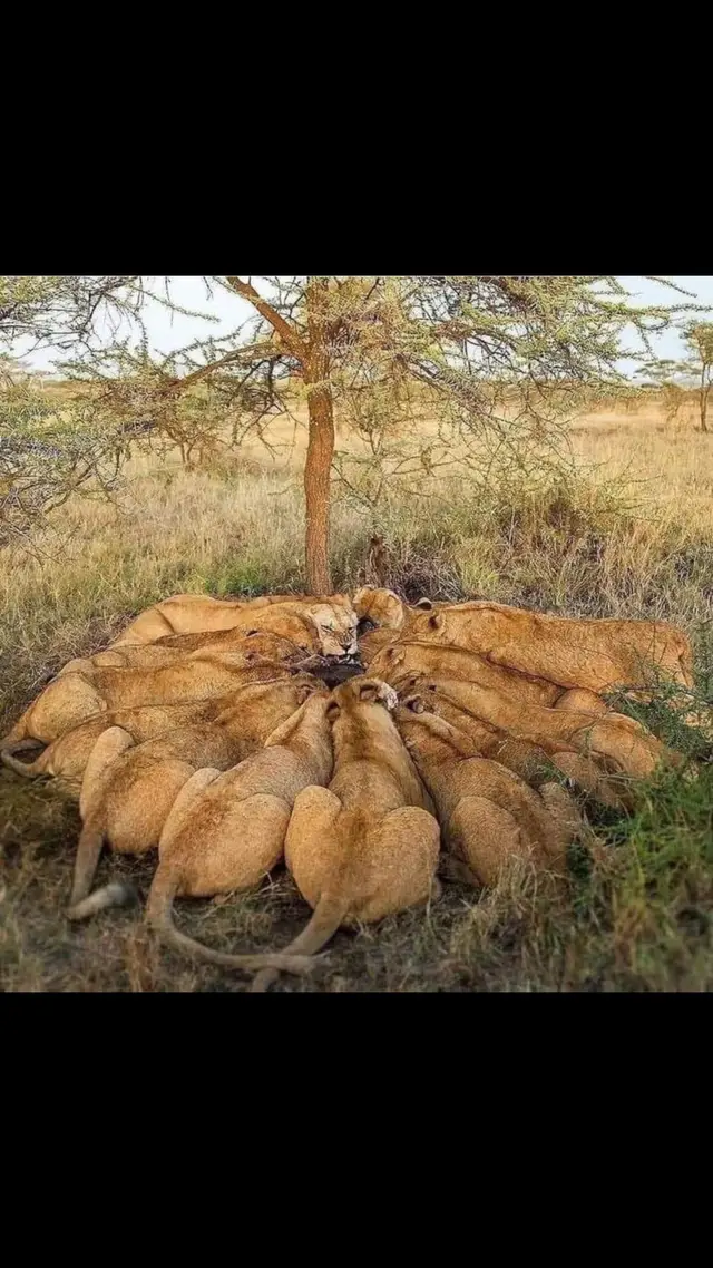 The Art of Nature! ♥️