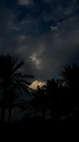 تم أعود لوحدتي وكأني لم أخالط احد أبداً                        #تصويري #تصويري_احترافي #تصويري_احترافي_الاجواء👌🏻🕊😴 #تصويري📸 #تصوير 