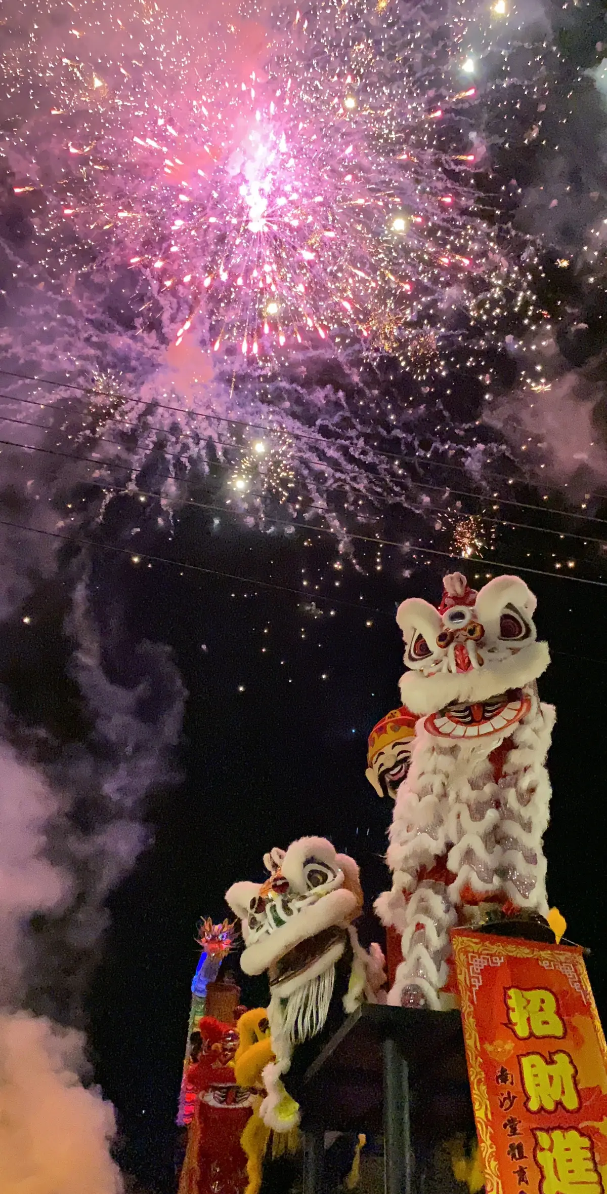 #美里 #美里南沙堂醒狮团  #mirixinhokwenyi  #美里南沙堂促进协会醒狮团  #舞狮 #舞龙 #fypシ  #fyppppppppppppppppppppppp 