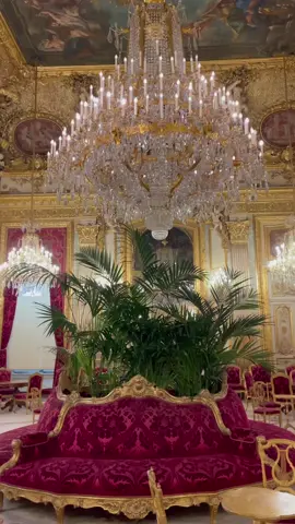 Marie Antoinette luxury aesthetics🤍👸 #marieantoinette #rococo #coquette #versailles #palaceofversailles #coquetteaesthetic #luxury #luxuryaesthetic #queen #royalcoreaesthetic #lovestory #paris 