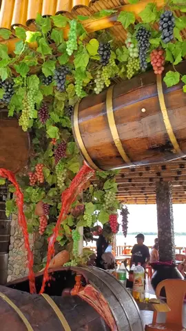 Solo en San Jacinto-Tarija #tarija🇮🇩 #tarijabolivia🇧🇴 #viñedos #fypシ #viral #paratiiiiiiiiiiiiiiiiiiiiiiiiiiiiiii   