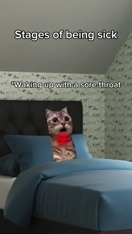 Navigating the rollercoaster of a flu 🤒 #relatable #catmemes #relatablememes #stagesof #cold #flu #fever #sickness #memes #funny #humor #foryou #viralvideos 