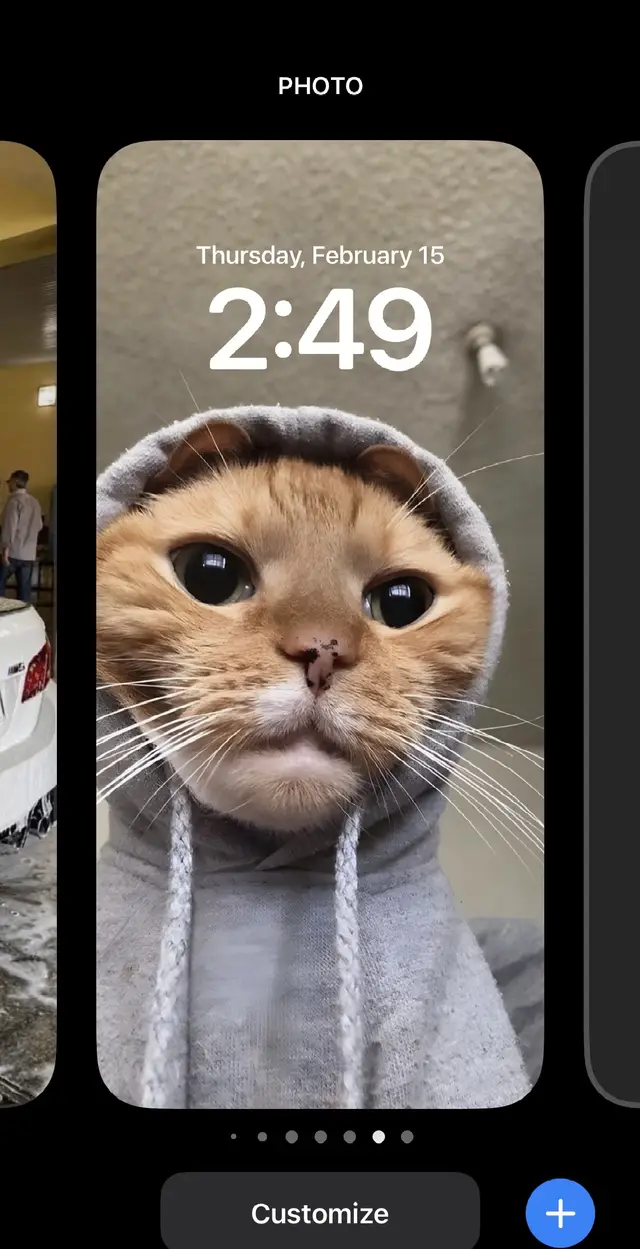 Which wallpapers next⁉️ #catslover #wellpaper #4k #ios17 #4kwallpaper #cutewallpapers #aestheticwallpapers #catwallpaper 