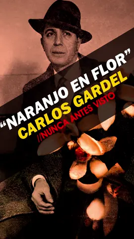 Carlos Gardel | Naranjo en Flor (1944) cantada 80 años después por la inteligencia artificial de Carlos Gardel #ia #tango #carlosgardel Video Lyrics.  A 88 años de la tragedia de Medellín, la IA trae fragmentos de El Zorzal Criollo de regreso por el tiempo y los encarna en clásicos del género del Tango posteriores a su deceso. Si el dicho popular reza que canta 