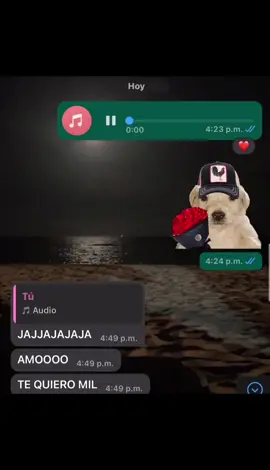 #audioswhatsapp #queondaperdida 