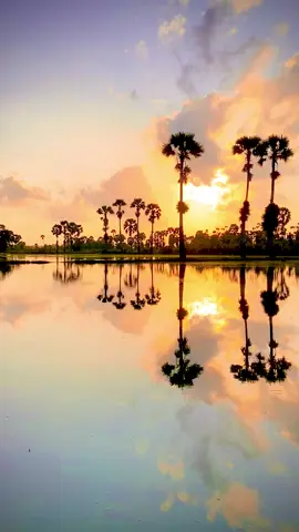 อรุณสวัสดิ์ยามเช้า ระโนดบ้านเราครับ #วิวทุ่งนาสวยๆ #ระโนด #สงขลา #ที่เที่ยวสงขลา #ท้องฟ้า #ธรรมชาติบ้านนอก  #ธรรมชาติสวยงาม #เด็กใต้ 