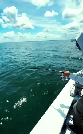 #fishing #fishinglife #sea #crazyfish #fishcontent #titkok #comeonfishy #usa #commercialfishing #bigfish #gofishing #fishvideos #viral #fypシ 