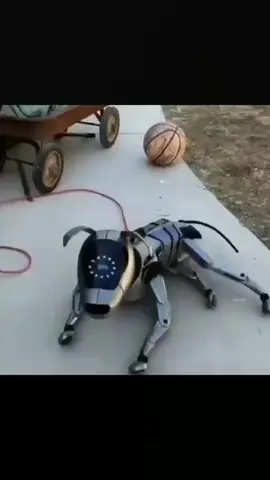 robodog 🐶 #robot #dog #doglover #petlover #artificialintelligence #real #foryoupageofficiall #fyp 