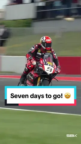 SEVEN DAYS TO GO! 🎉 The excitement of a brand-new #WorldSBK era is just around the corner 🔥 In the meantime, relive the 2023 season via the link in bio ☝️ #WorldSBK #motorcycle #motorsport #racing #sportsontiktok