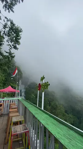 nduwe kenangan opo cah nek kene #kediri24jam #cafeprongos#prongoskediri #wanus#jawapride #hutanpinuskediri 