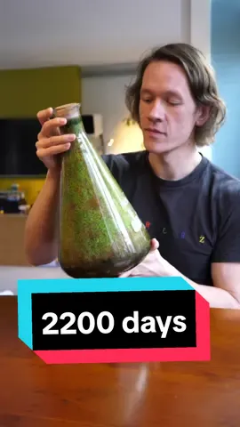 that's about 53,000 hours #terrarium #sealedterrarium #terrariumtok #worcesterterrariums 