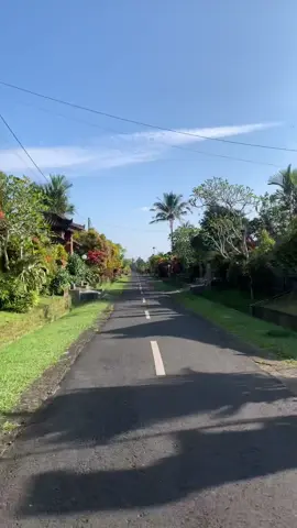 DESA WISATA PINGE Terletak di Desa Baru, Kecamatan Marga, Kabupaten Tabanan merupakan salah satu desa terbersih yang berada di Tabanan Bali. Desa ini menawarkan pemandangan tatanan rumah yang rapi, suasana yang sejuk dan asri. “Yuk Majukan Potensi Desa” #desapinge #desawisata #tabananbali 