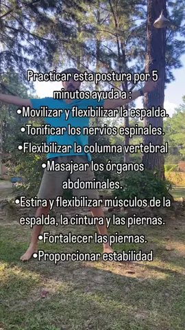 Postura del triangulo  #yoga #profedeyoga #posturadetriángulo #yogalove #yogaday 