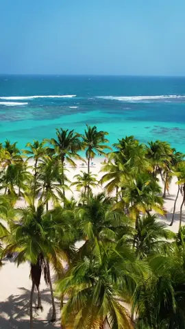 El literal “ trágame tierra y lánzame aquí” 😮‍💨 - Cayo Sombrero 🇻🇪🌴 #playasdevenezuela #playas #cayosombrero #turismovenezuela #falconvenezuela  