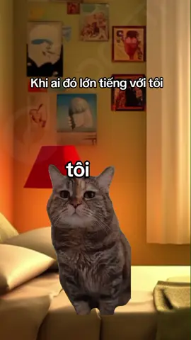 dễ tổn thương lắm ó🥺#meme #xuhuongtiktok #xuhuong #giaitri #caption #fyp #vuinhon #meo #tamtrang_camxuc 