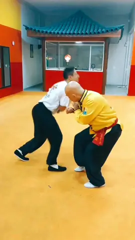 #tskf #kungfu #kungfuadistancia #kungfuonline #wushu #louvaadeus #artemarcial #artesmarciais #shaolin #chikung #camisadeferro #humor 