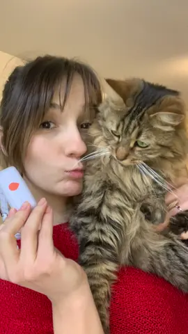 Vidéo UGC exemple 🌺 Réalisé avec le collier gps de chez Weenect @Weenect  #ugc #ugccreator #creationdecontenu #colliergps #gps #collier #animals #cat #chat 