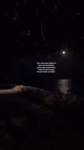 #kesfetbeniöneçıkart #quotes #kesfetalbeni #viral #fyp #kesfetacil #lutfenkesfetedüş #keşfet #viralvideo 