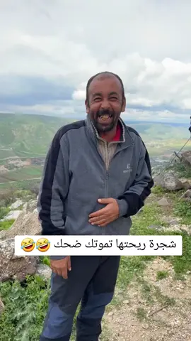 #اضحك #شجرة_الضحك شجرة تسبب الضحك بريحتها  لو طفشان شم هذي الشجرة تدخل في نوبة ضحك #السعودية #اليمن🇾🇪 #اليمن 