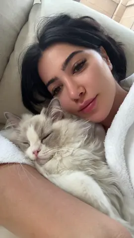 Nothing better than this 🥹💕 #catsoftiktok #ragdollcat #kittensoftiktok #thislittlelife #foryou #fyp #catlover  