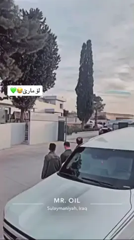 #💚💚#🦅 #foryou #fyp #tuimalyk #🦅 #CDO #dzhateror #bavl #sarok 