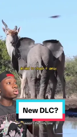 2024 is the year of new DLC #elephant#animals#nature#moreyouknow#LearnOnTikTok 