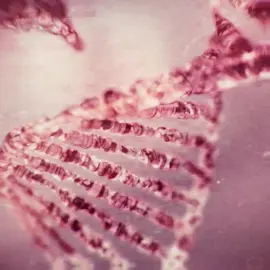 MY FAV INTRO AND FAV CHARACTER DESIGN | #residentevil #residenteviledit #residentevil3remake #residentevil3edit #residentevilnemesis #nemesisedit 