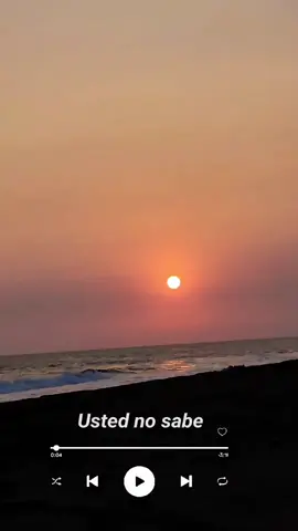 Usted no sabe lo que es el amor Y el miedo que causa la desolación Usted no sabe que daño causo Como ha destrozado a este corazon Que tan solo palpitaba con el sonido de su voz Con el sonido de su voz #fypシ #foryou #Usted #atardeceresperfectos 