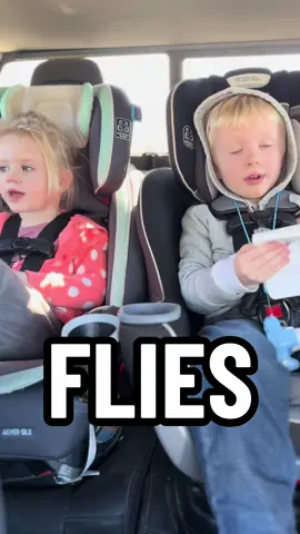 Jack telling me no to be scared of flies and bugs 🤣🤣 #jackofthesouth #lol #family #Love #entertainment #viral #relatable #finance #Siblings #southern #acting #blowthisup #comedy #duet #fyp #foryou #humor #satisfying #tiktok #momlife #momblog #boymom #girlmom 