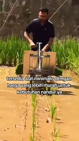 Alat tanam padi minimalis #tanampadi #fye 